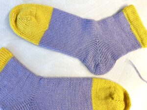 CSM Circular Sock Machine WORSKHOP